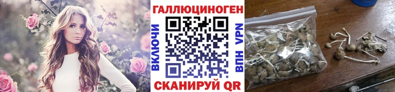 omg ССЫЛКА  купить  сайты  Красный Холм  Псилоцибиновые грибы ЛСД 