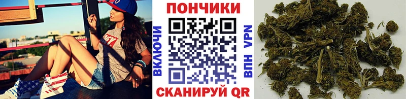 сколько стоит  Красный Холм  Каннабис SATIVA & INDICA 